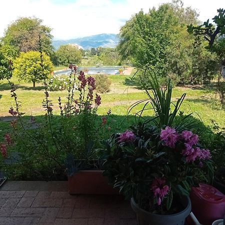 Casa Pratolungo Guest House Velletri Exterior foto