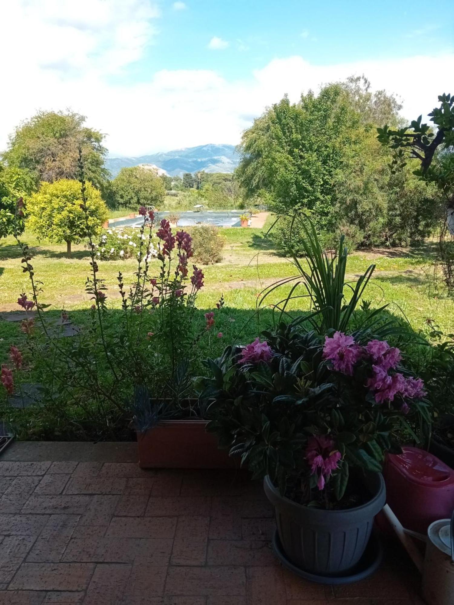 Casa Pratolungo Guest House Velletri Exterior foto